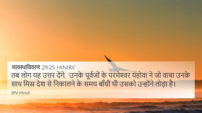 व्यवस्थाविवरण 29:25 HINIRV Bible Verse Image