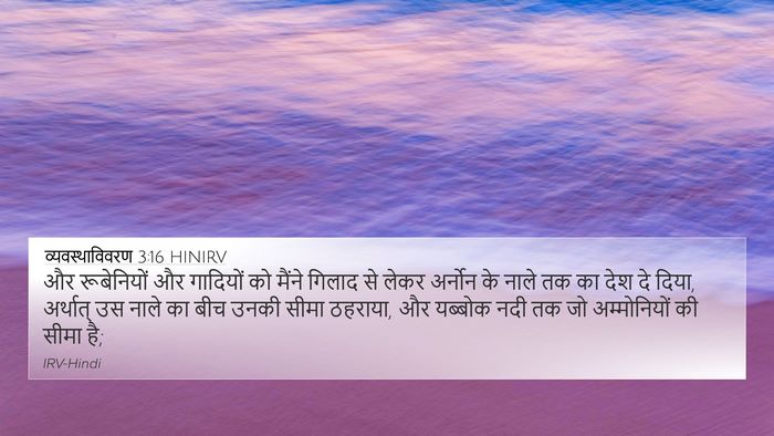 व्यवस्थाविवरण 3:16 HINIRV Bible Verse Image