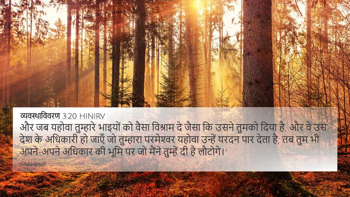 व्यवस्थाविवरण 3:20 HINIRV Bible Verse Image