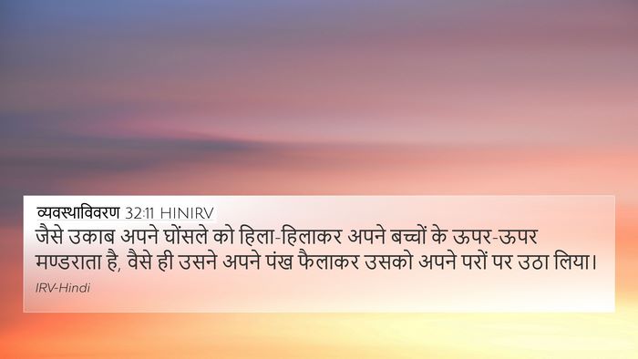 व्यवस्थाविवरण 32:11 HINIRV 4K Wallpaper - जैसे उकाब अपने - 4K Wallpaper Bible Verse