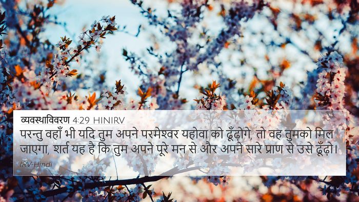 व्यवस्थाविवरण 4:29 HINIRV Bible Verse Image