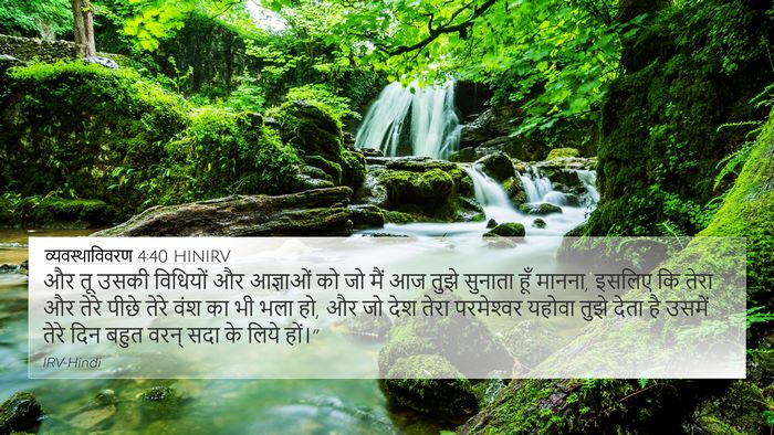 व्यवस्थाविवरण 4:40 HINIRV Bible Verse Image