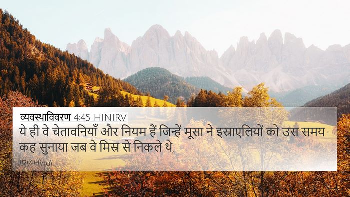 व्यवस्थाविवरण 4:45 HINIRV 4K Wallpaper - ये ही वे - 4K Wallpaper Bible Verse