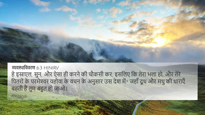 व्यवस्थाविवरण 6:3 HINIRV Bible Verse Image