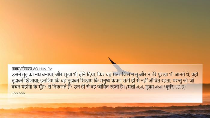 व्यवस्थाविवरण 8:3 HINIRV Bible Verse Image