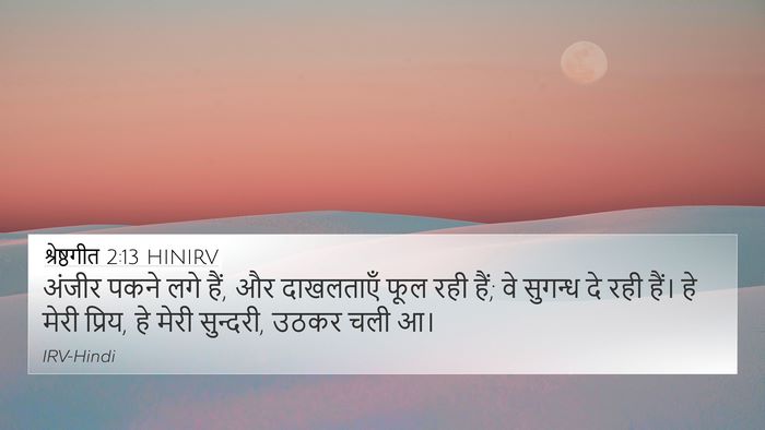 श्रेष्ठगीत 2:13 HINIRV Bible Verse Image