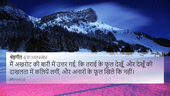 श्रेष्ठगीत 6:11 HINIRV Bible Verse Image