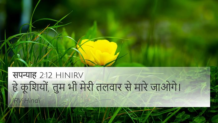 सपन्याह 2:12 HINIRV 4K Wallpaper - हे कूशियों, तुम भी - 4K Wallpaper Bible Verse