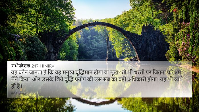 सभोपदेशक 2:19 HINIRV Bible Verse Image