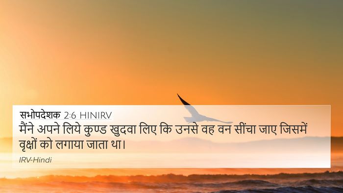 सभोपदेशक 2:6 HINIRV 4K Wallpaper - मैंने अपने लिये - 4K Wallpaper Bible Verse