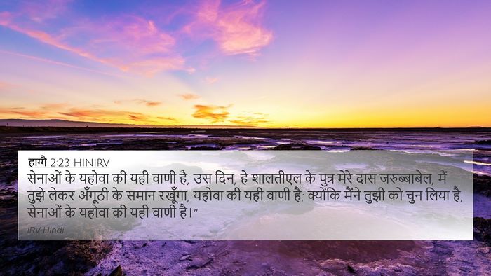 हाग्गै 2:23 HINIRV Bible Verse Image