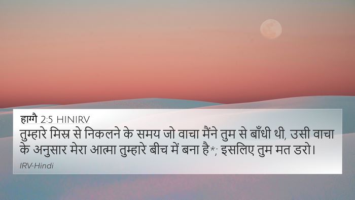 हाग्गै 2:5 HINIRV 4K Wallpaper - तुम्हारे मिस्र से - 4K Wallpaper Bible Verse