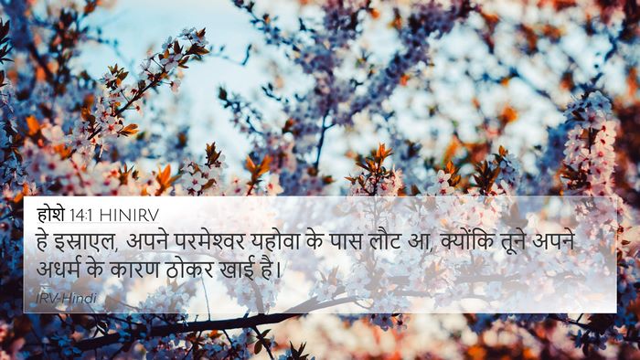होशे 14:1 HINIRV Bible Verse Image