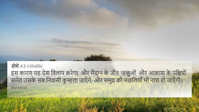 होशे 4:3 HINIRV Bible Verse Image