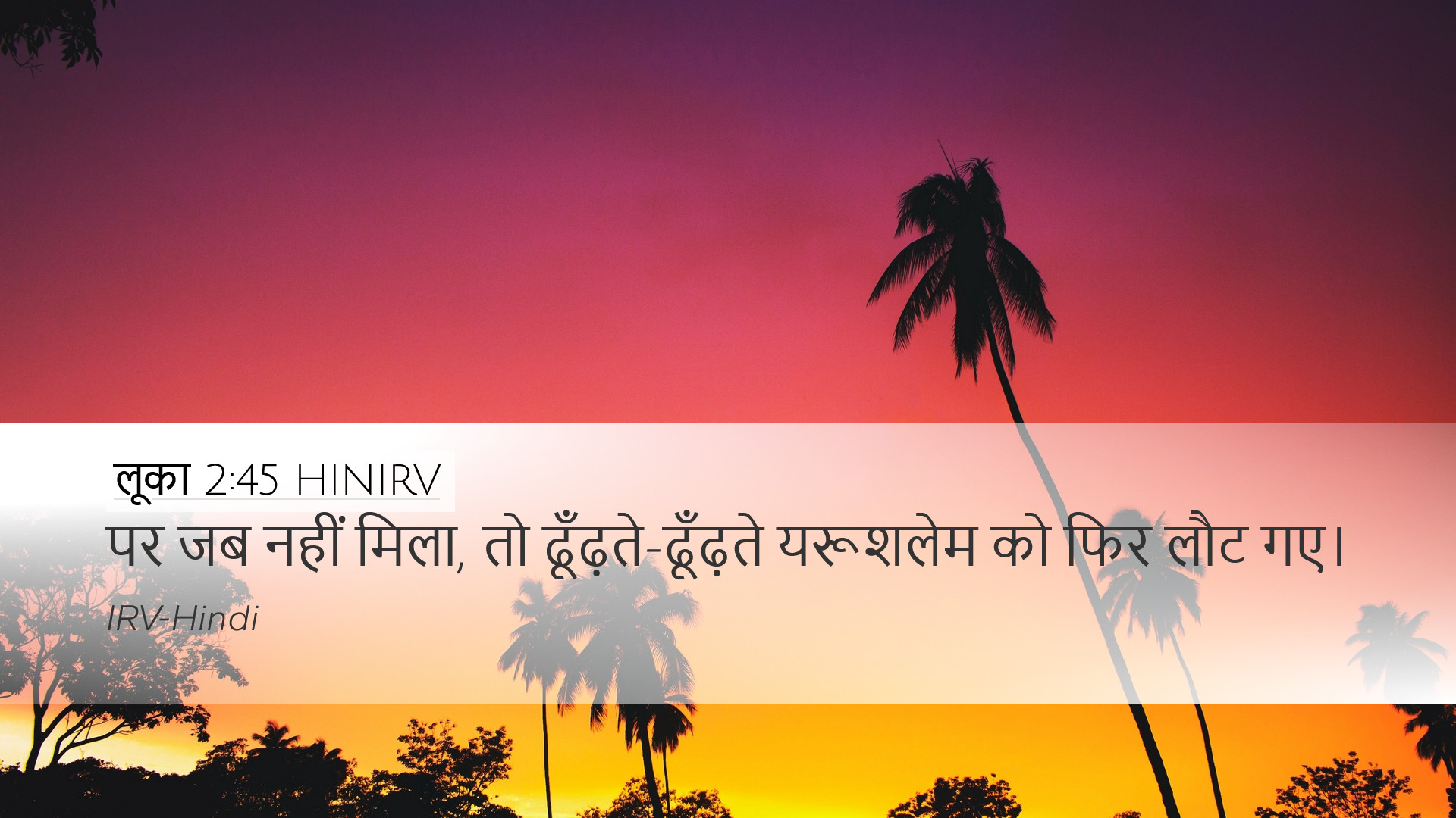 लूका 2:45 HINIRV Desktop Wallpaper - पर जब नहीं मिला, तो
