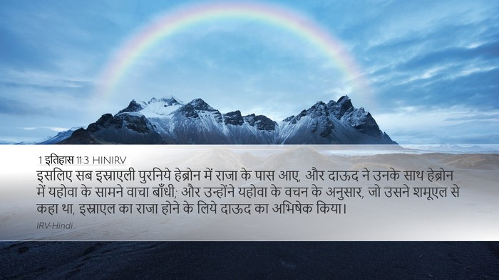 1 इतिहास 11:3 HINIRV Bible Verse Image