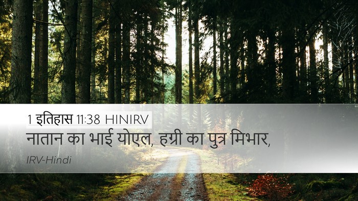 1 इतिहास 11:38 HINIRV Desktop Wallpaper - नातान का भाई योएल, - Desktop Bible Verse Wallpaper