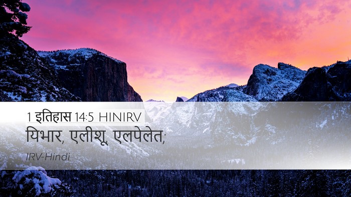 1 इतिहास 14:5 HINIRV Bible Verse Image