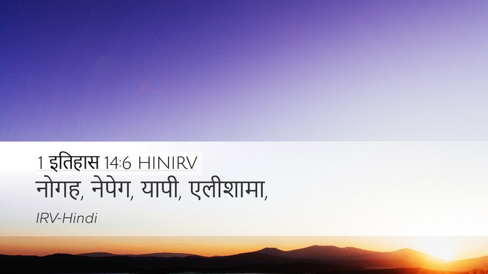 1 इतिहास 14:6 HINIRV Desktop Wallpaper - नोगह, नेपेग, यापी, - Desktop Bible Verse Wallpaper