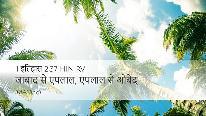 1 इतिहास 2:37 HINIRV Desktop Wallpaper - जाबाद से एपलाल, - Desktop Bible Verse Wallpaper