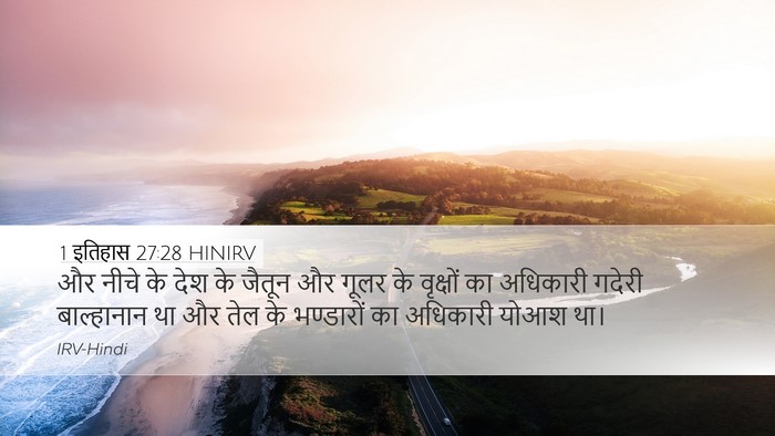 1 इतिहास 27:28 HINIRV Bible Verse Image