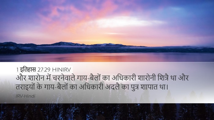 1 इतिहास 27:29 HINIRV Bible Verse Image