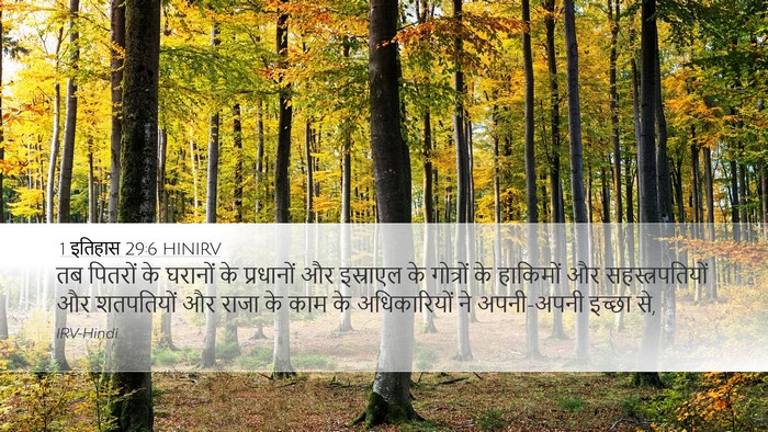 1 इतिहास 29:6 HINIRV Bible Verse Image