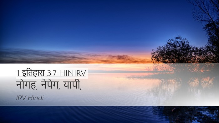 1 इतिहास 3:7 HINIRV Desktop Wallpaper - नोगह, नेपेग, - Desktop Bible Verse Wallpaper