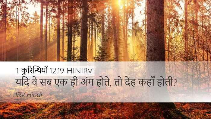 1 कुरिन्थियों 12:19 HINIRV Desktop Wallpaper - यदि वे सब एक ही अंग - Desktop Bible Verse Wallpaper