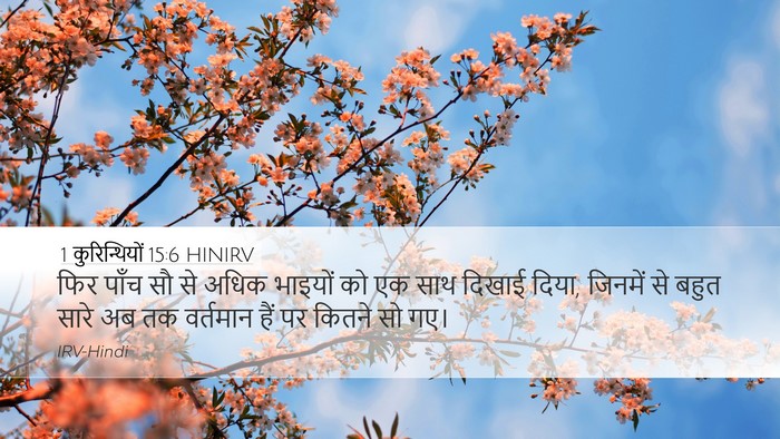 1 कुरिन्थियों 15:6 HINIRV Bible Verse Image