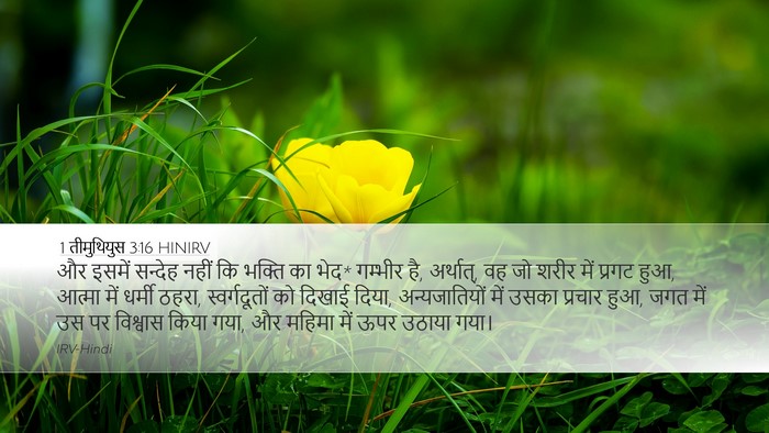 1 तीमुथियुस 3:16 HINIRV Bible Verse Image