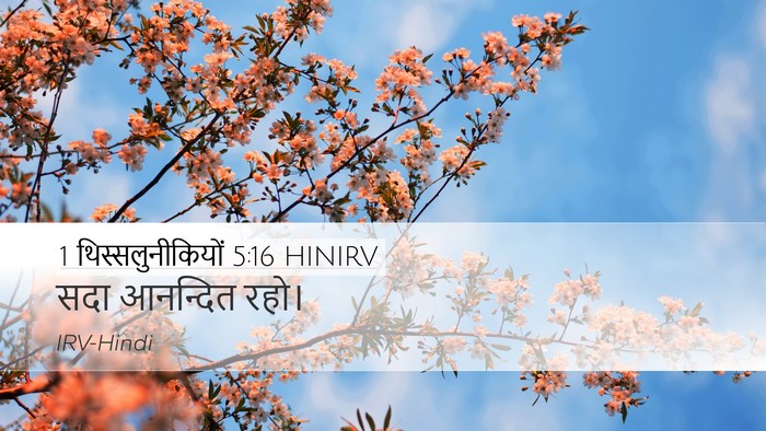 1 थिस्सलुनीकियों 5:16 HINIRV Bible Verse Image