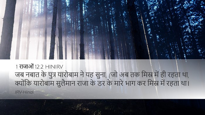 1 राजाओं 12:2 HINIRV Desktop Wallpaper - जब नबात के पुत्र - Desktop Bible Verse Wallpaper