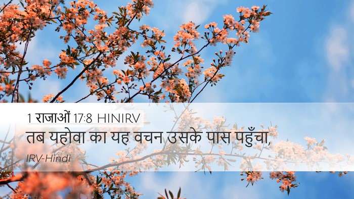 1 राजाओं 17:8 HINIRV Desktop Wallpaper - तब यहोवा का यह वचन - Desktop Bible Verse Wallpaper
