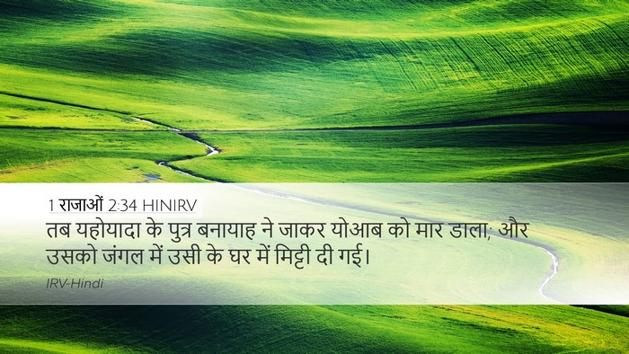 1 राजाओं 2:34 HINIRV Bible Verse Image