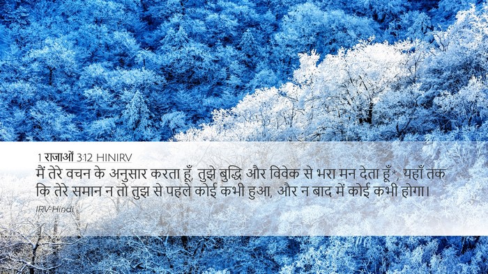 1 राजाओं 3:12 HINIRV Bible Verse Image