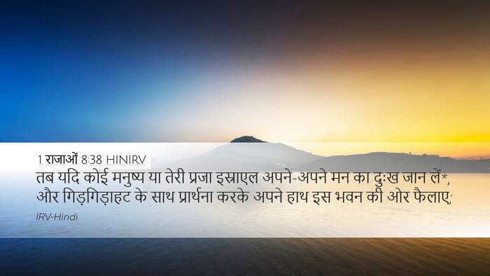 1 राजाओं 8:38 HINIRV Bible Verse Image