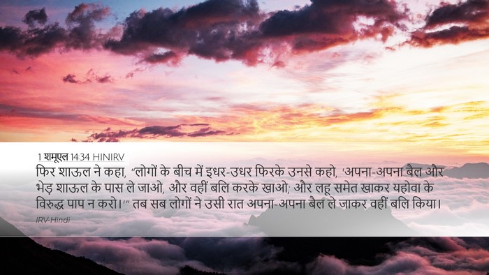 1 शमूएल 14:34 HINIRV Desktop Wallpaper - फिर शाऊल ने कहा, - Desktop Bible Verse Wallpaper