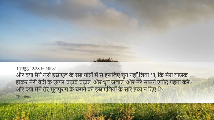 1 शमूएल 2:28 HINIRV Bible Verse Image