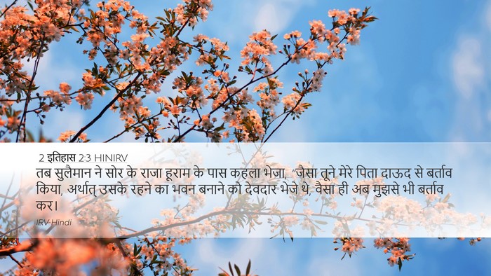 2 इतिहास 2:3 HINIRV Bible Verse Image