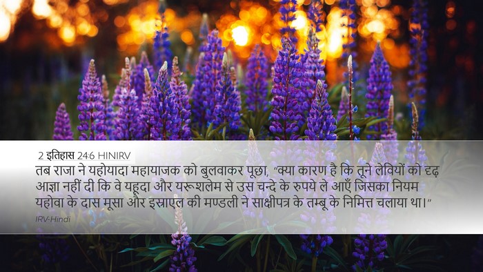 2 इतिहास 24:6 HINIRV Bible Verse Image