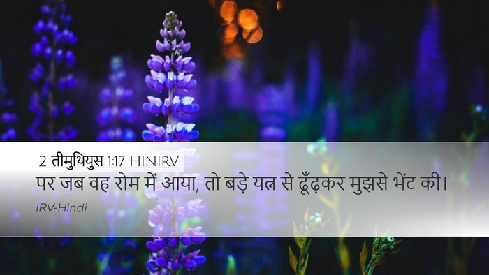 2 तीमुथियुस 1:17 HINIRV Bible Verse Image