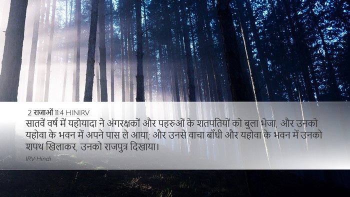 2 राजाओं 11:4 HINIRV Bible Verse Image
