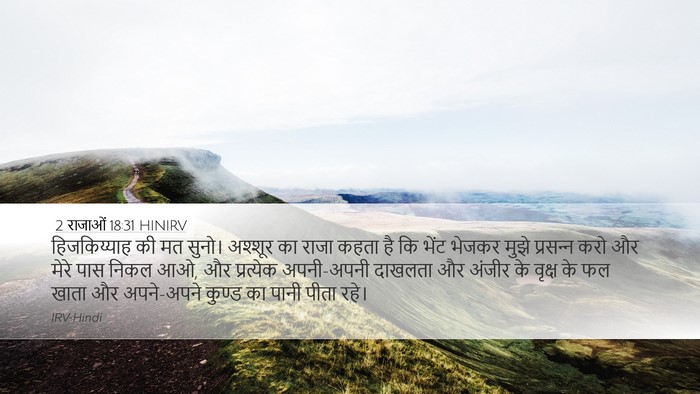 2 राजाओं 18:31 HINIRV Bible Verse Image
