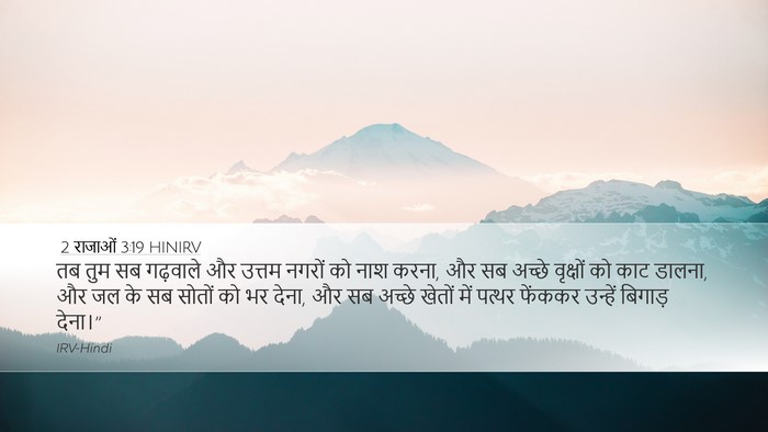 2 राजाओं 3:19 HINIRV Desktop Wallpaper - तब तुम सब गढ़वाले - Desktop Bible Verse Wallpaper