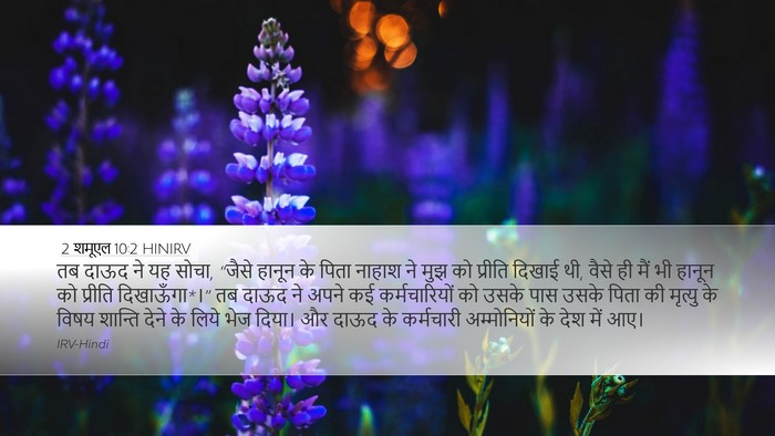 2 शमूएल 10:2 HINIRV Desktop Wallpaper - तब दाऊद ने यह सोचा, - Desktop Bible Verse Wallpaper