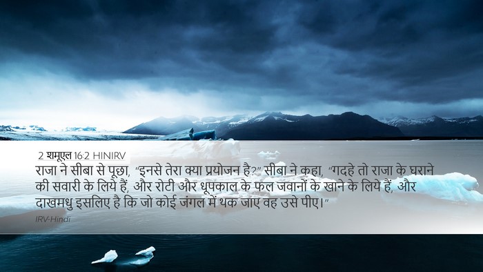 2 शमूएल 16:2 HINIRV Desktop Wallpaper - राजा ने सीबा से - Desktop Bible Verse Wallpaper