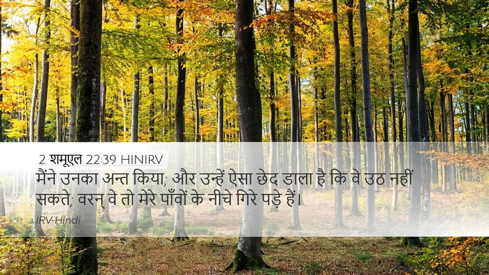 2 शमूएल 22:39 HINIRV Bible Verse Image
