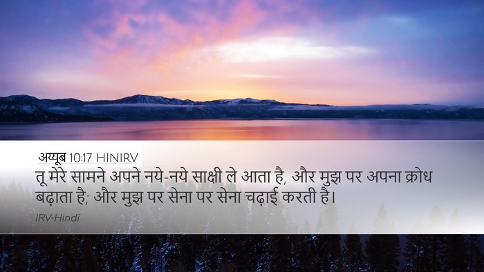 अय्यूब 10:17 HINIRV Bible Verse Image