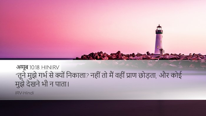 अय्यूब 10:18 HINIRV Bible Verse Image